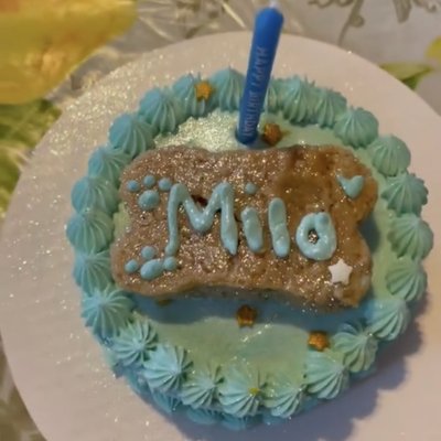 4 Inch Pup Cake ( 1 Layer)