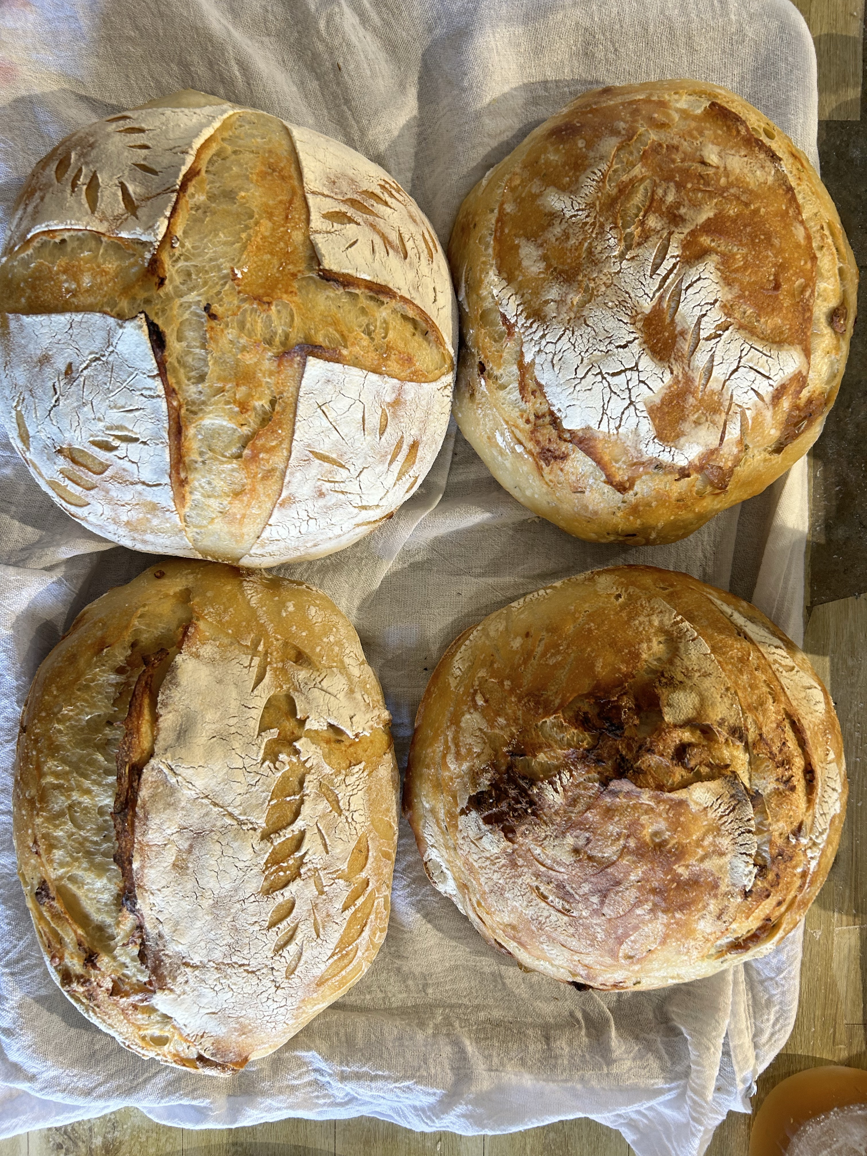 Sourdough-Artisan-Plain