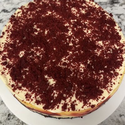 Red Velvet Cheesecake 