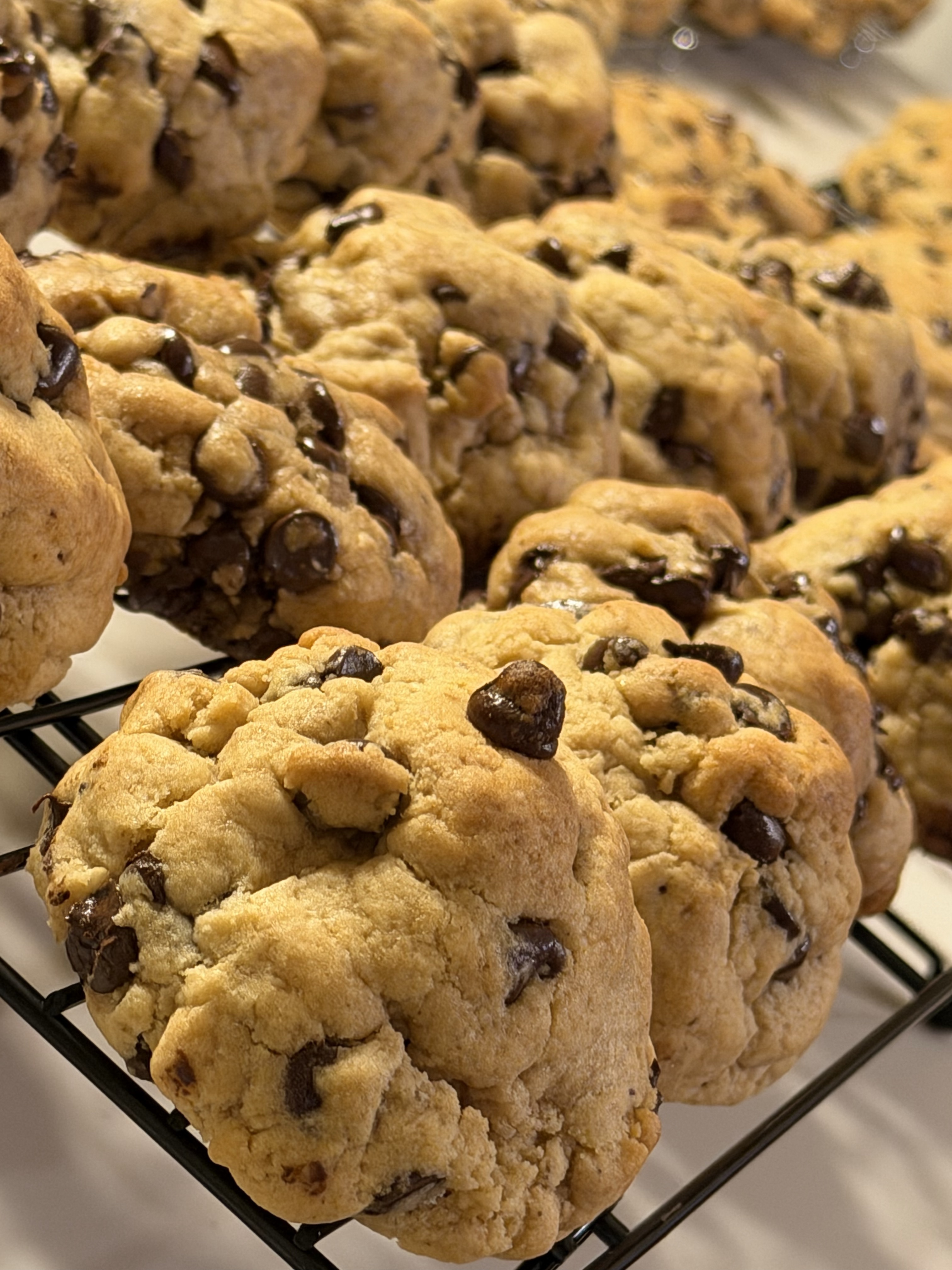 Chocolate Chip