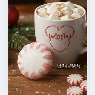 Twinsies Mints (6 Pack)