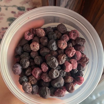 Dehydrated Blueberries