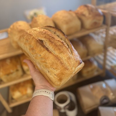 Plain Mild Sourdough Loaf 