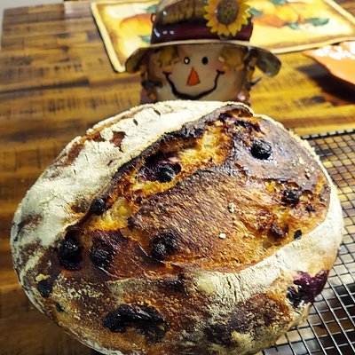 Cranberry-Orange-Pecan Sourdough Bread - Full Loaf