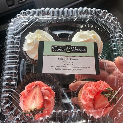 Jumbo Cupcakes (4 Pack)
