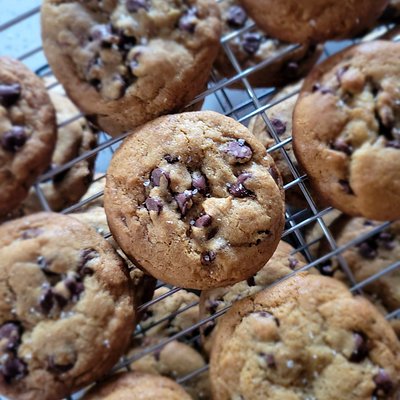 Sourdough Chocolate Chip Cookies (6 Pk)