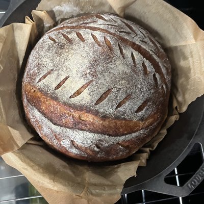 Whole Wheat Sourdough 