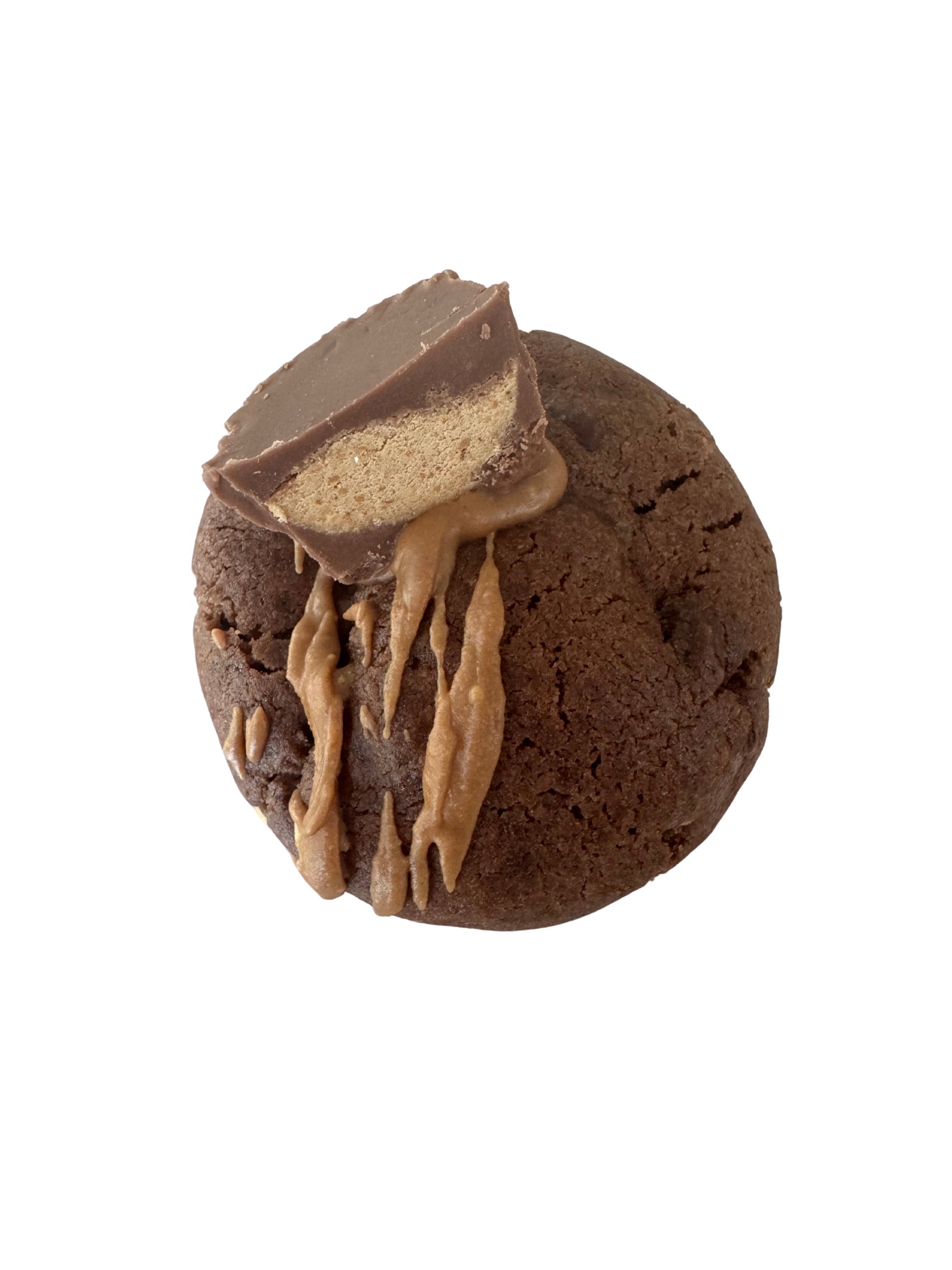 Chocolate Peanut Butter Cookie