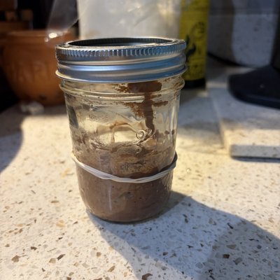 Chocolate Sourdough Starter Without Jar