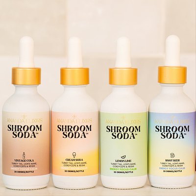 Shroom Soda By Ananda Elixers - Rootbeer