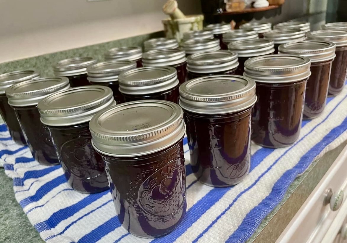 Blueberry Jam 