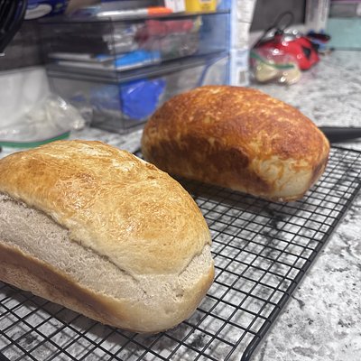 Mozzarella Loaf