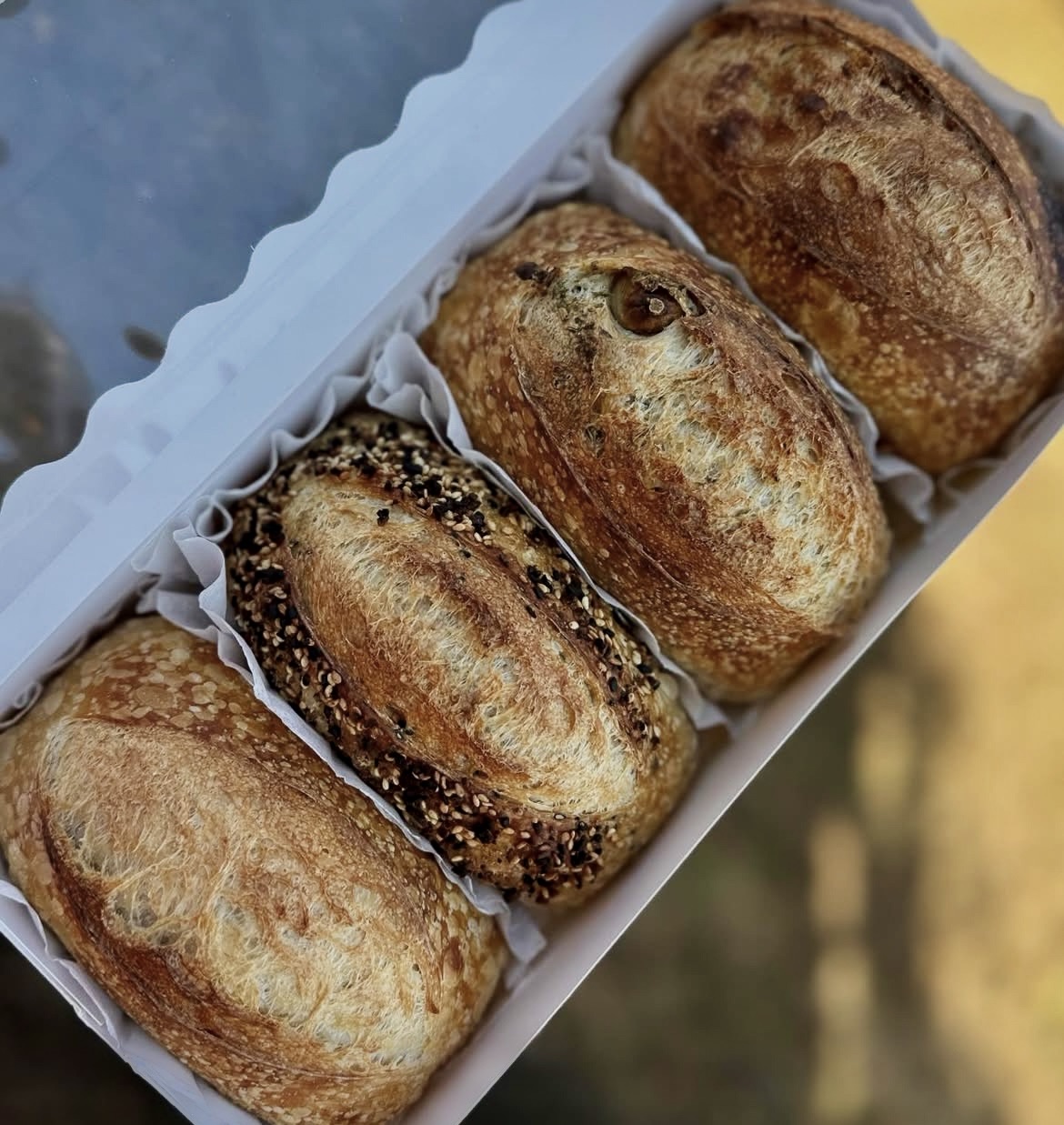 Bread Flight