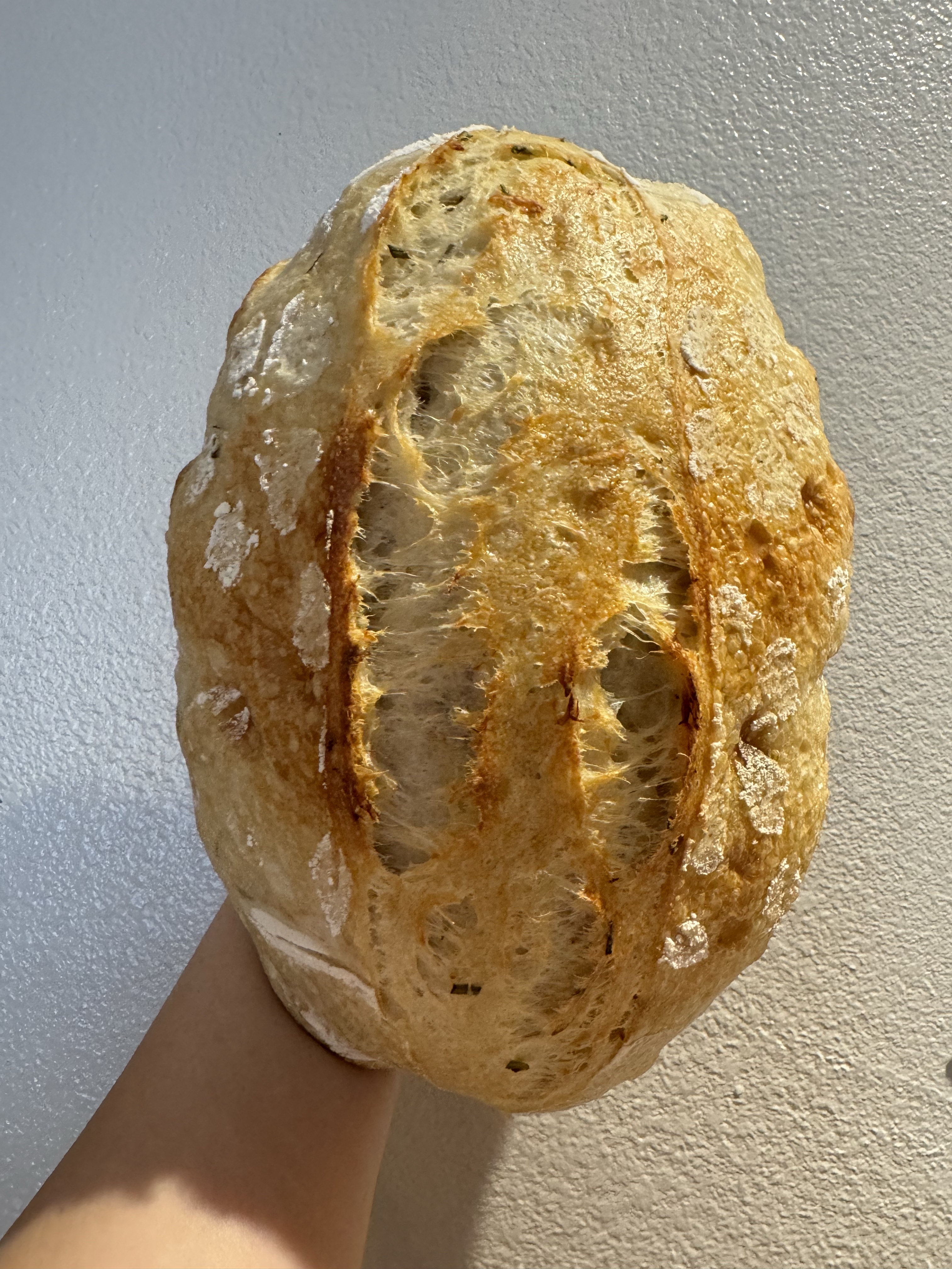 Roasted Garlic & Rosemary 