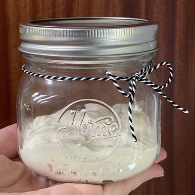 Active Sourdough Starter