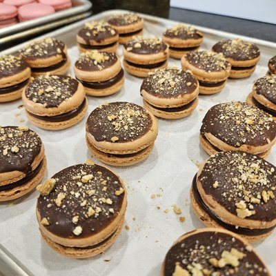Smores 12ct