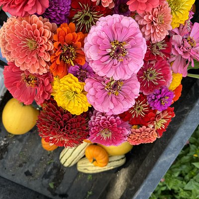 Flower Bouquet 