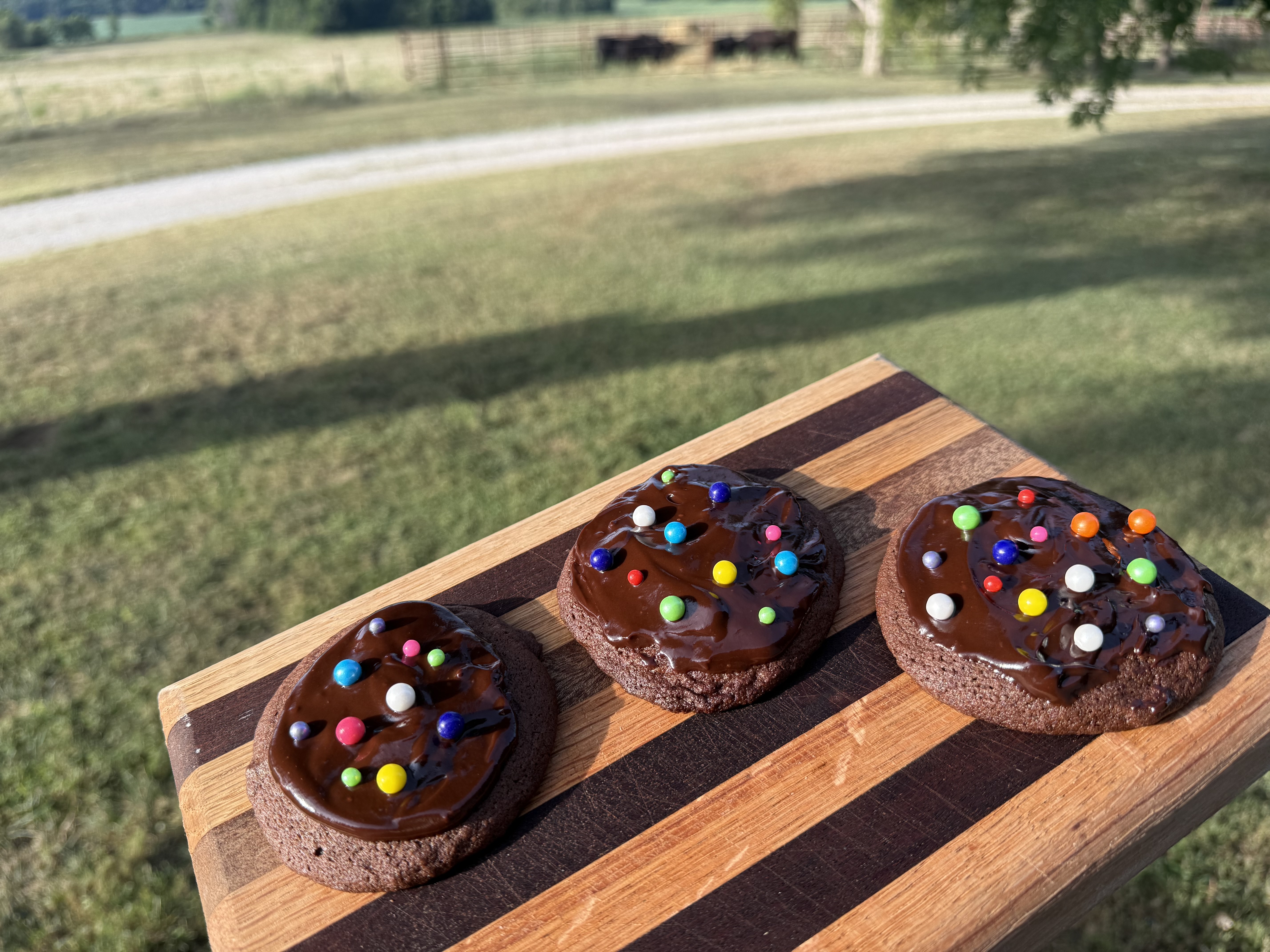 1 Doz. Cosmic Brownie Cookies 
