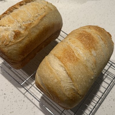 Sandwich Loaf 
