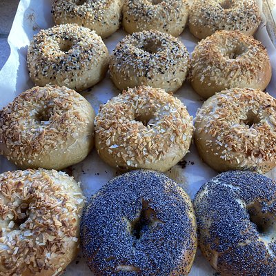 Assorted Organic Sourdough Bagels (2 Plain, Poppy, Sesame, Onion, Everything), Half Dozen