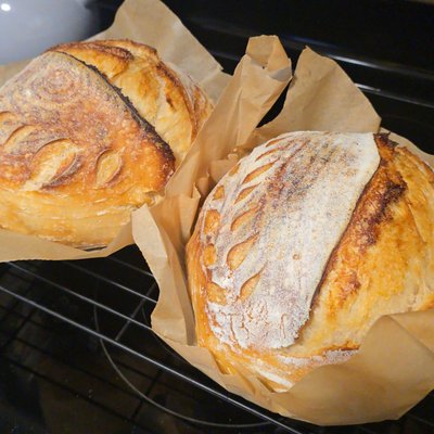 Plain Sourdough