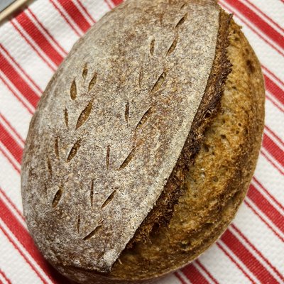 🌾 100% Whole Wheat