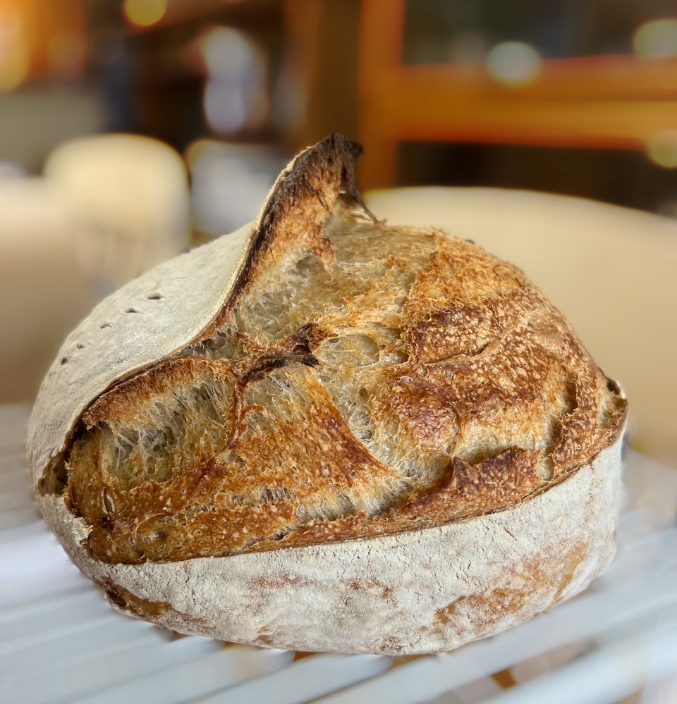 Plain Rustic Sourdough Loaf