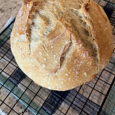 Grow’n Grace Signature Sourdough Bread 