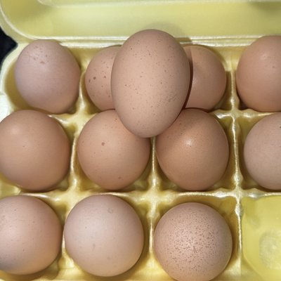 Dozen Farm Fresh Medium/Large Chicken Eggs