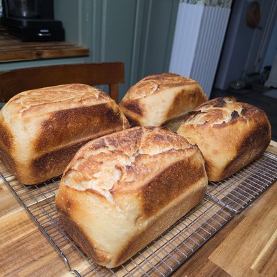 Sourdough Bread Loaf 