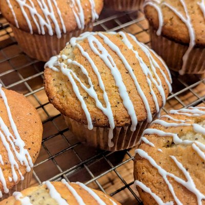 Lemon Poppy Seed Muffins - Jumbo