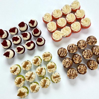 48 Count Assortment(MC)