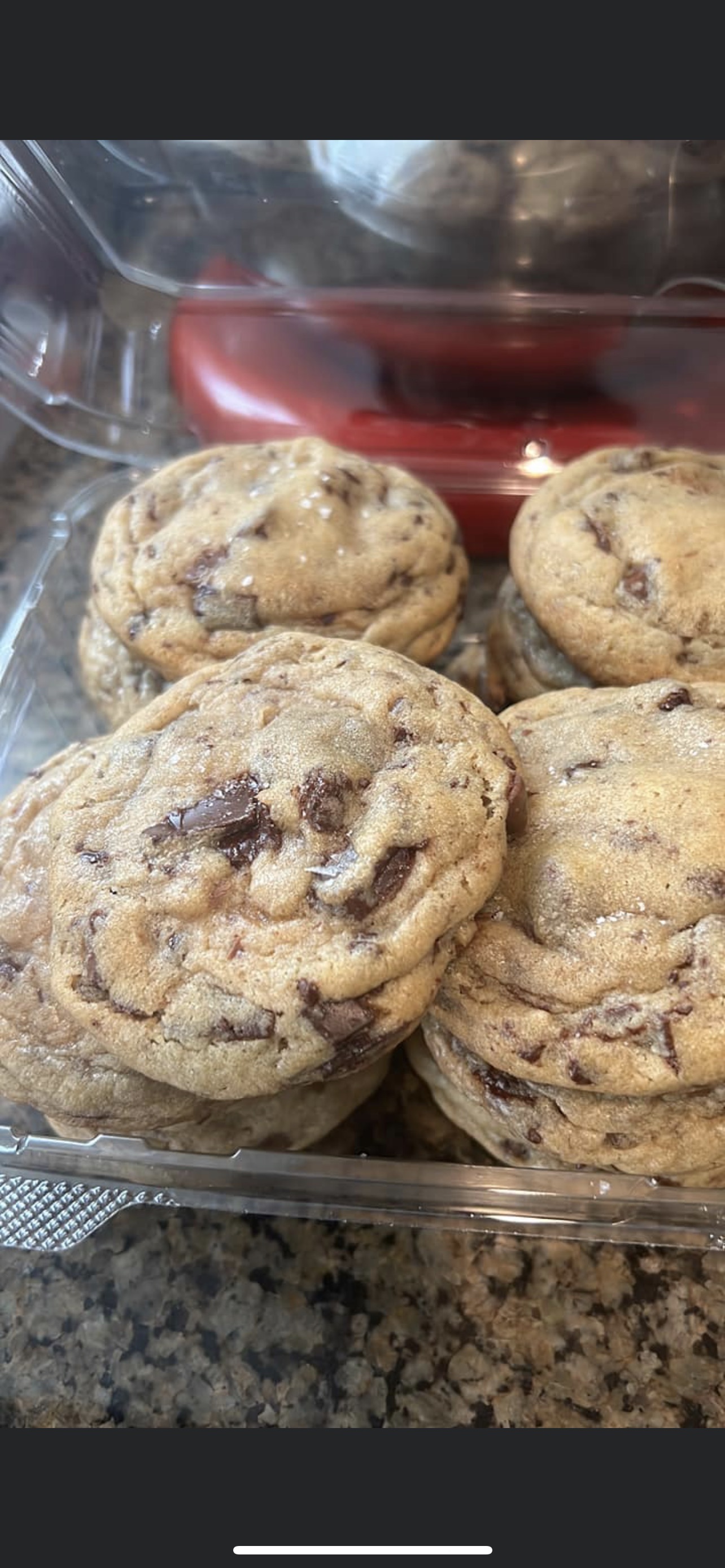 Bear's Chocolate Chip Cookies 