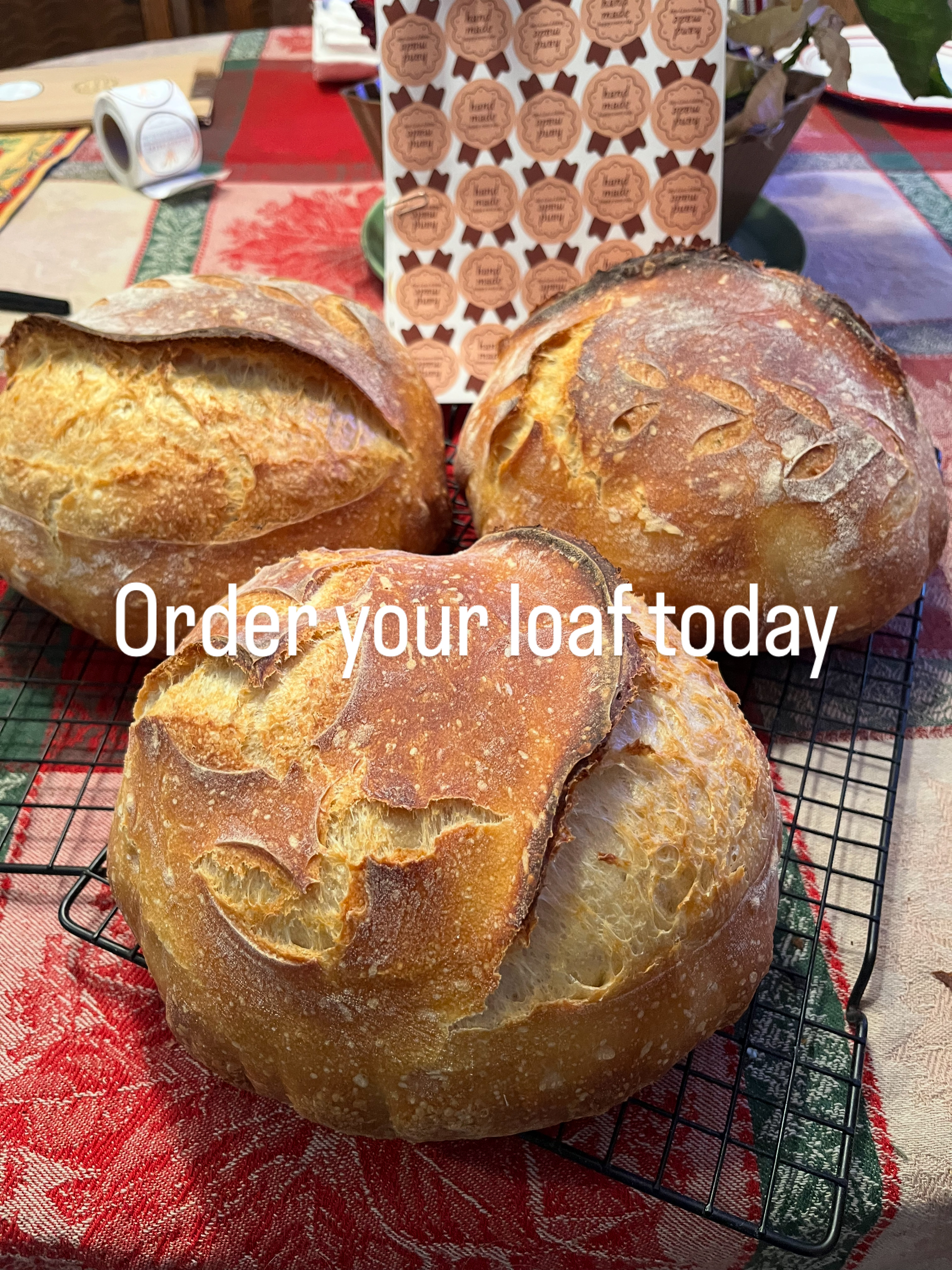 Sourdough Boule with Whole Wheat