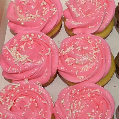 6 Count Cupcakes