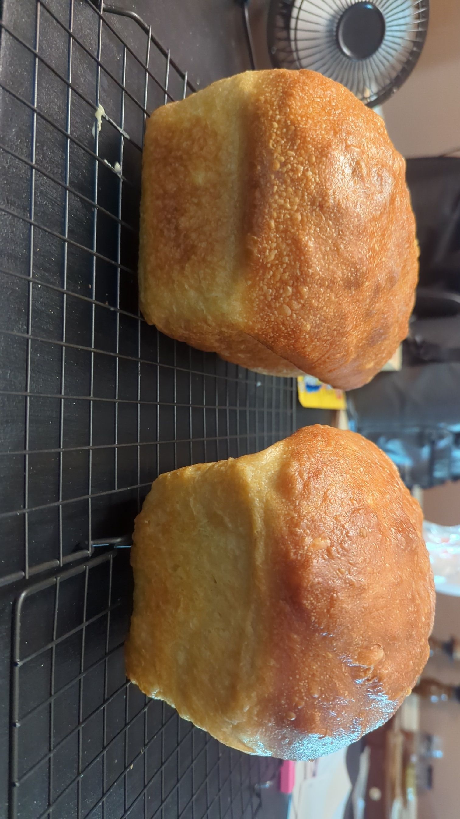 Sandwich Loaf