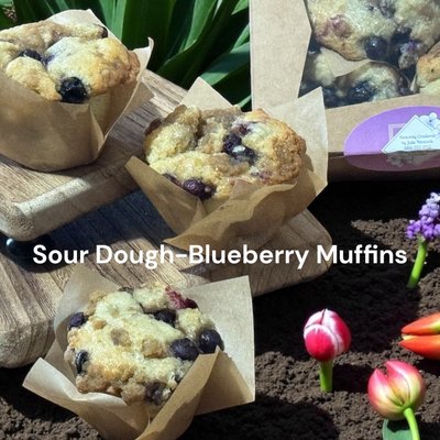 Blueberry Muffins