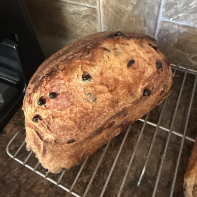 Blueberry Cream Cheese Sourdough