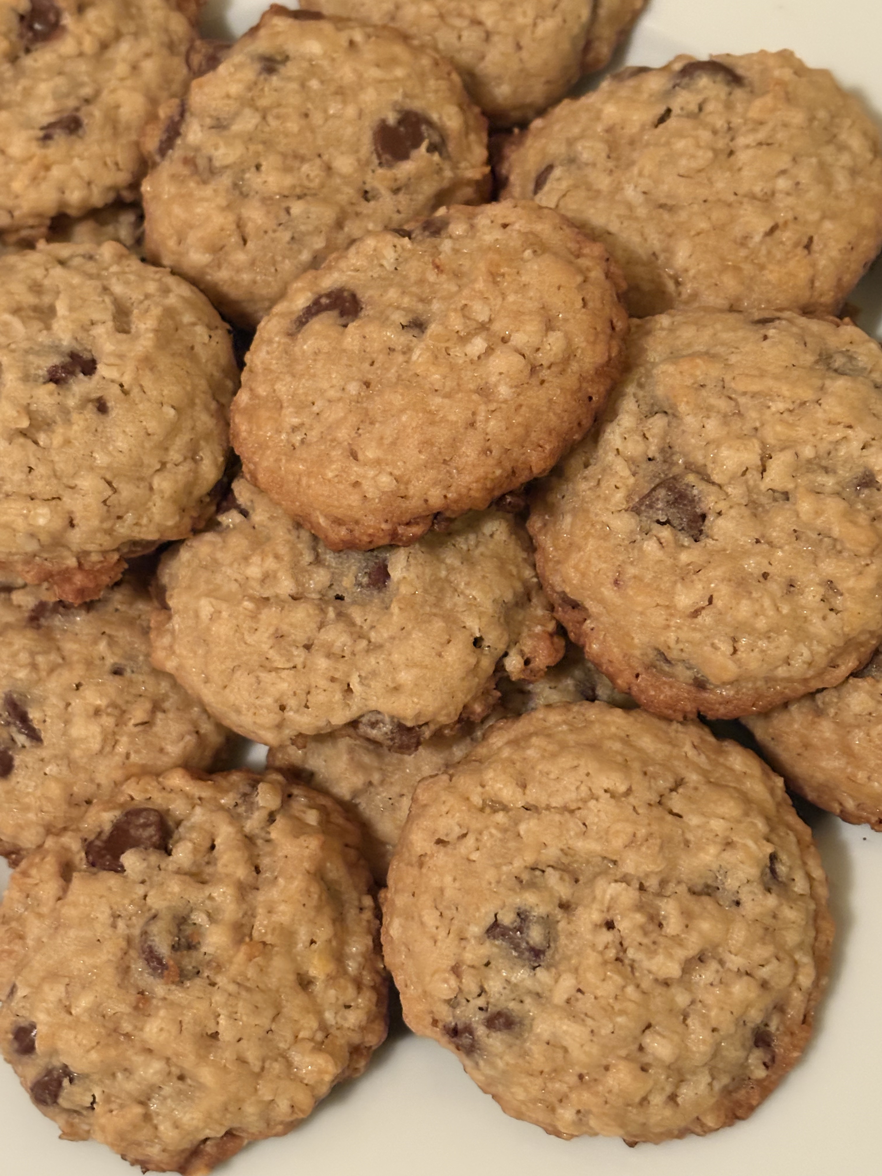 Oatmeal Chocolate Chip Cookies