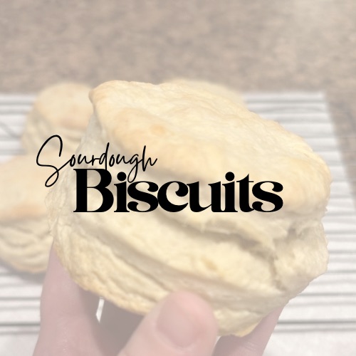 Sourdough Biscuits (4ct)