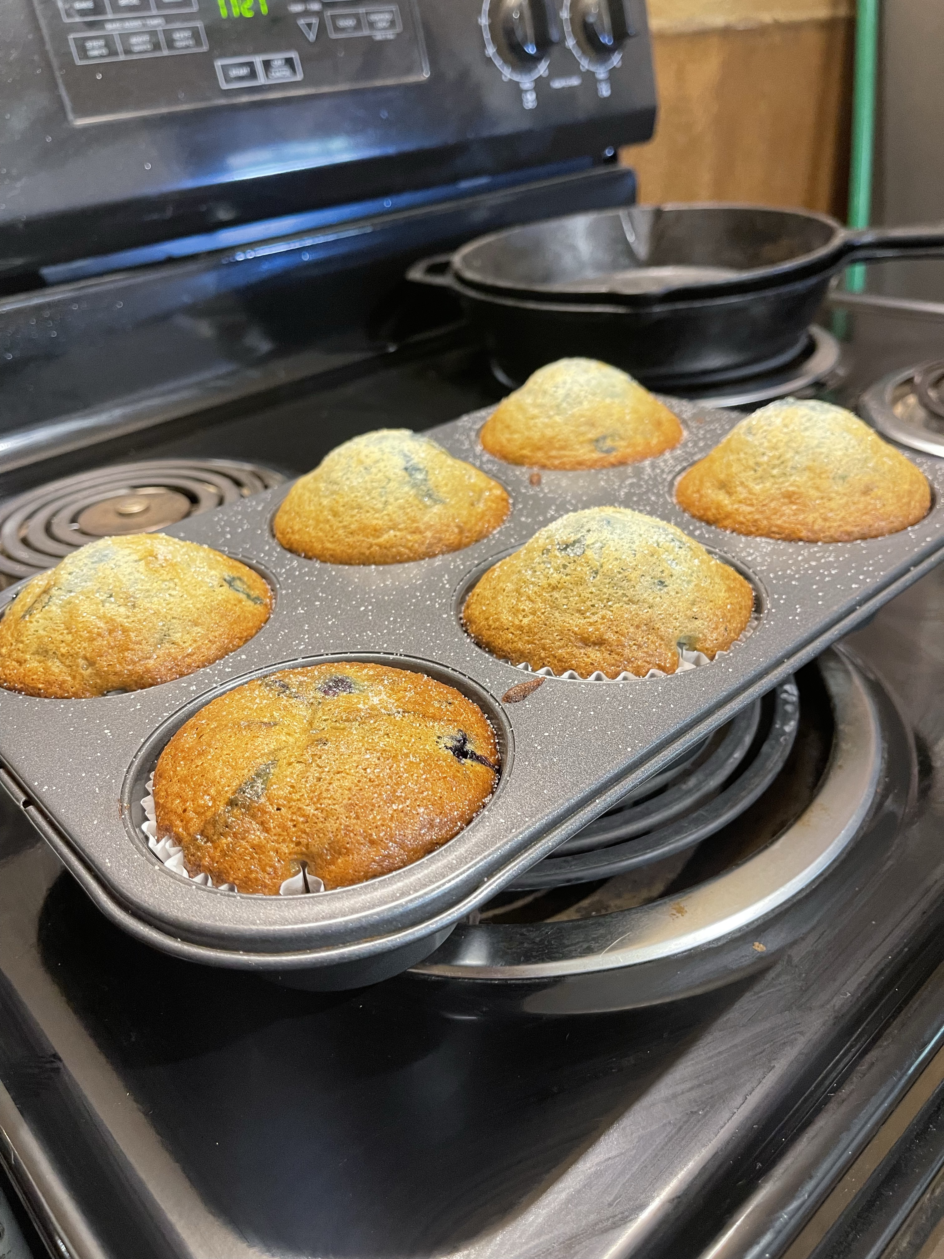 Blueberry Muffins
