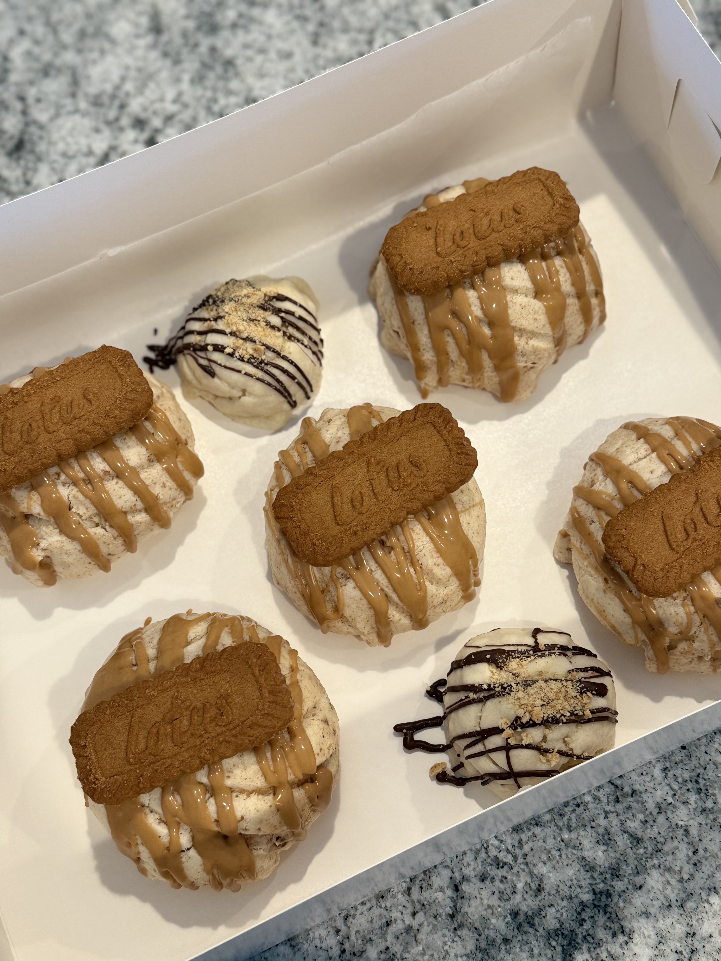 Conchas Half Dozen (Regular)