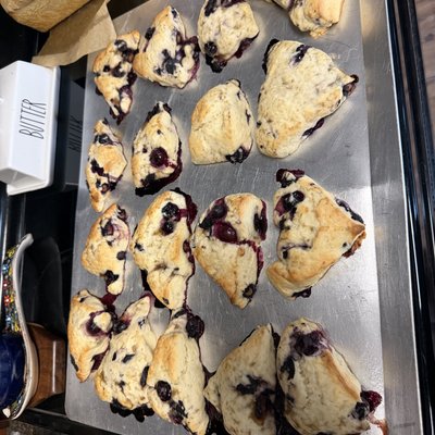 Blueberries Scone