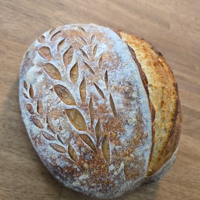 Plain Sourdough