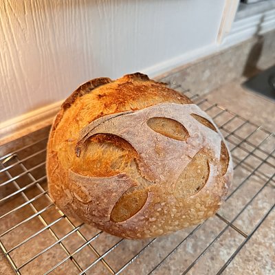 Plain Sourdough Bread Round