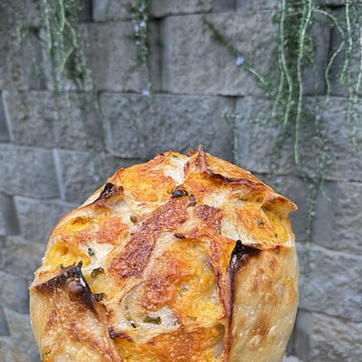 Jalapeño Cheddar - Full