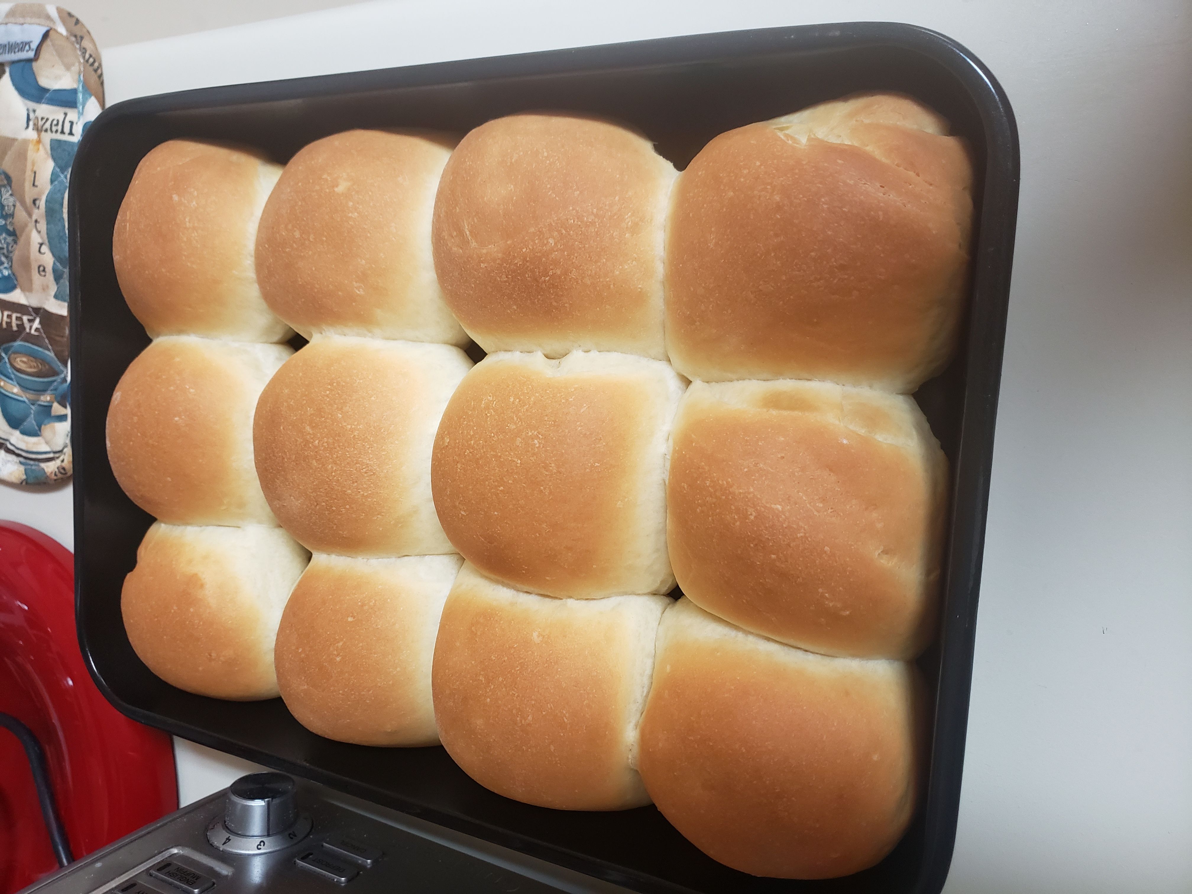 Dinner Rolls