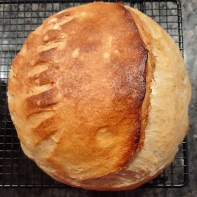 Sourdough Bread - Regular
