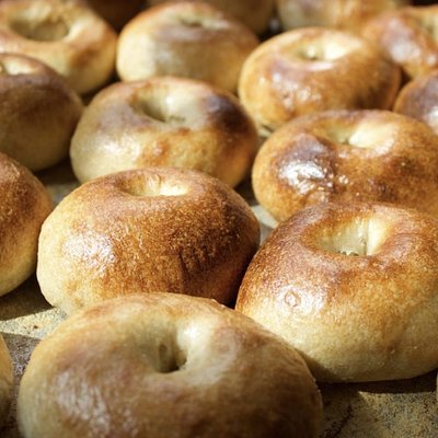 Plain Bagels