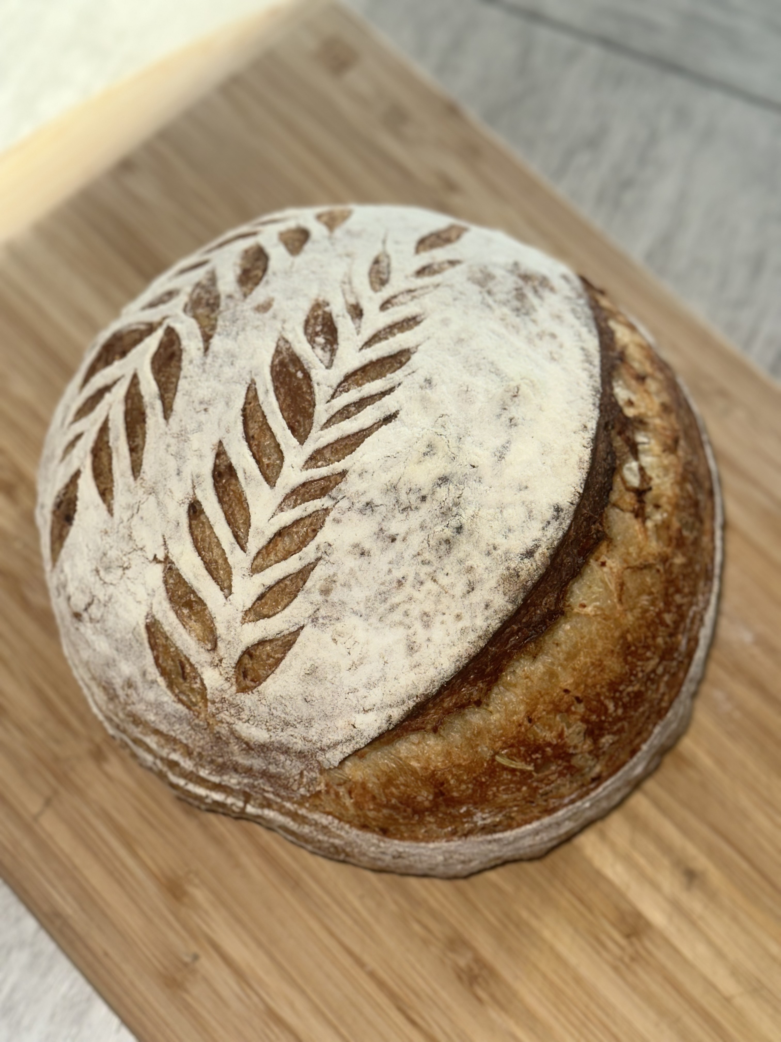 Roasted Garlic, Rosemary & Parmesan Cheese Sourdough Loaf 